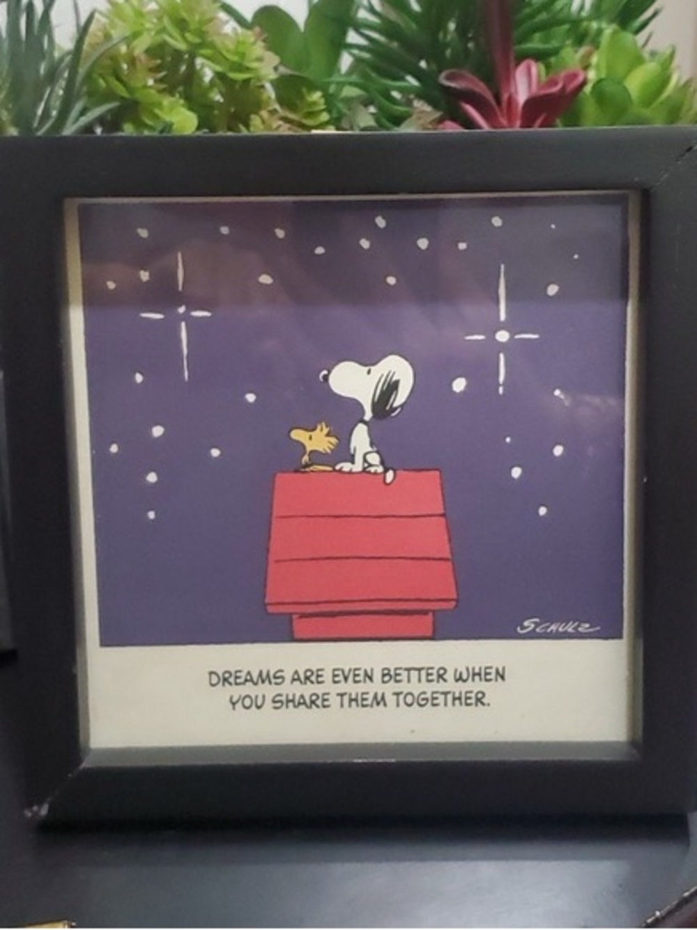 Peanuts Snoopy & Woodstock Framed Art - Purple / Red